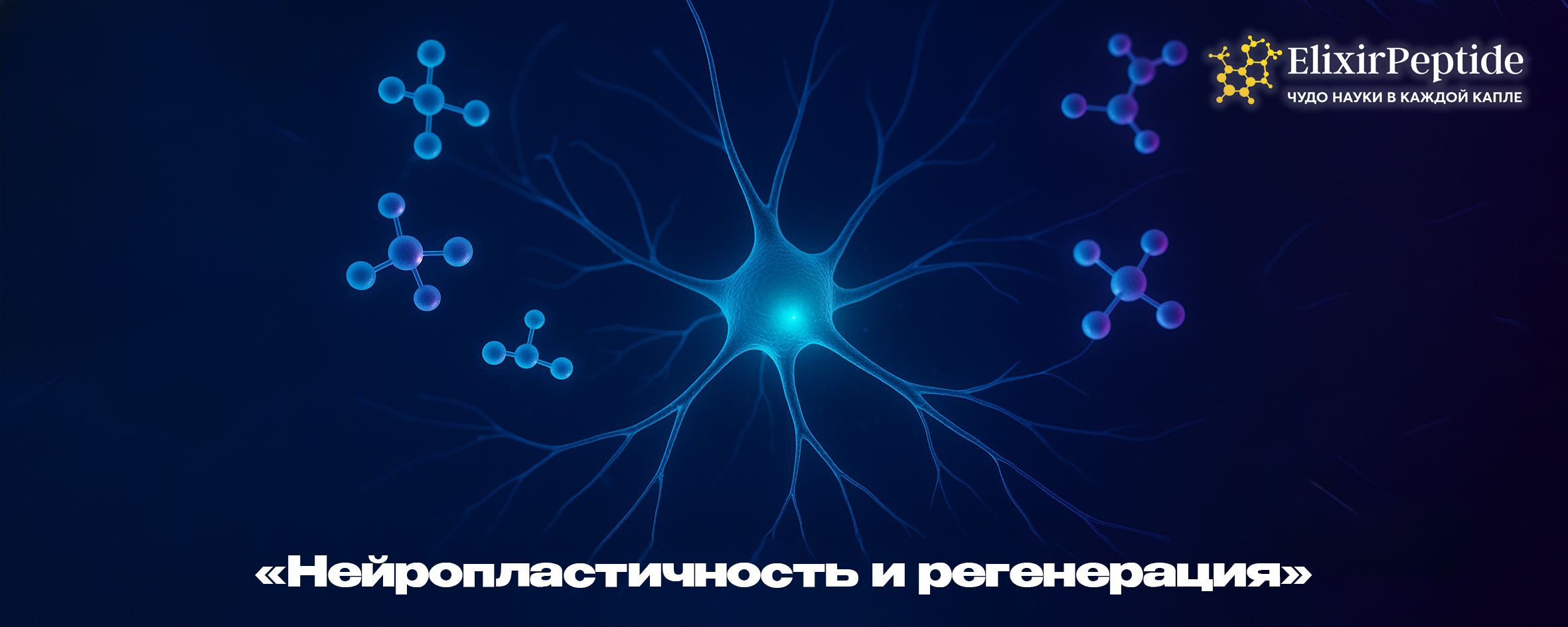 Нейропластичность и регенерация